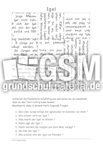 Igel.pdf